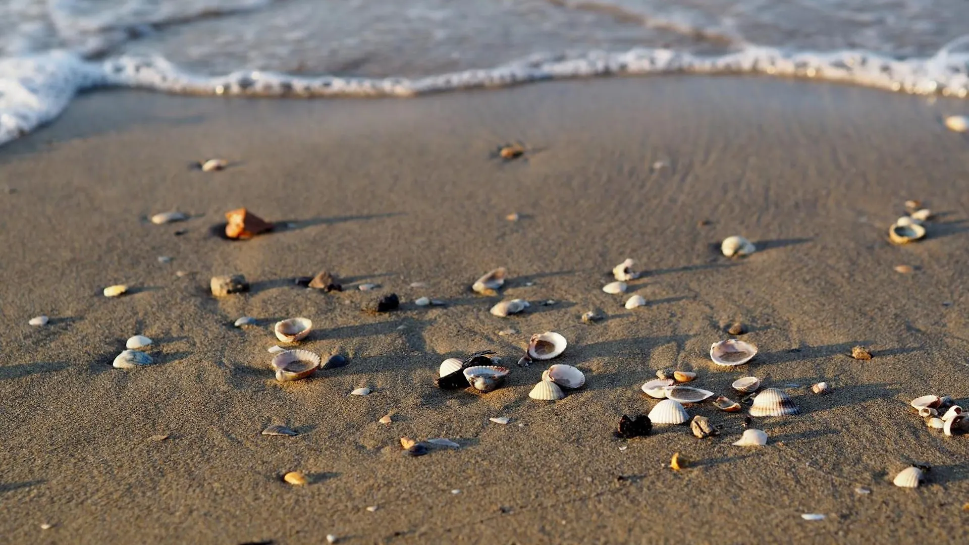 Tranquil Family Getaway - Beahost Apartment Bibione Italy